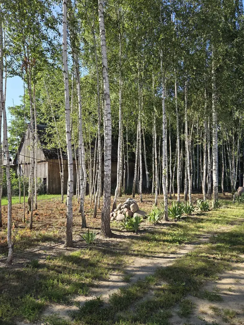 Zacisze na Podlasiu — siedlisko